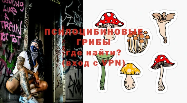 марки lsd Бородино