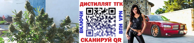 Дистиллят ТГК жижа  omg ONION  Городовиковск  купить наркотик 